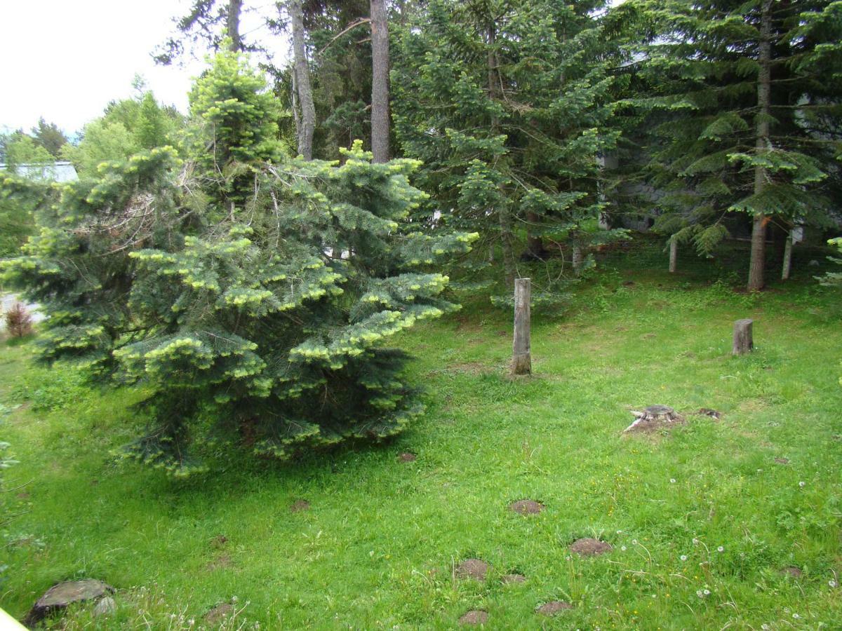 Chalet De L'Esquirol Bolquere Pyrenees 2000 المظهر الخارجي الصورة