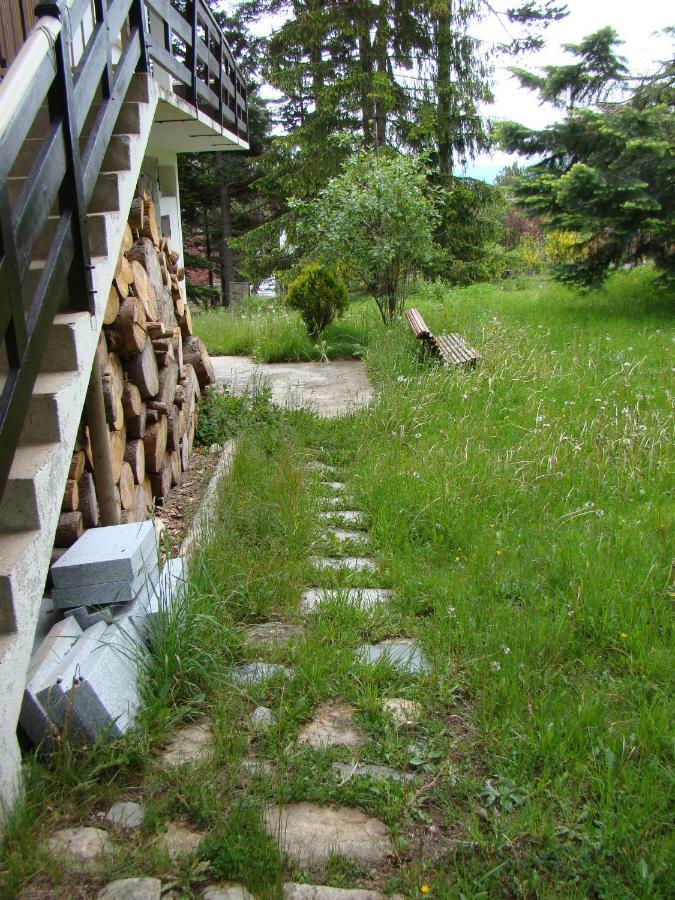 Chalet De L'Esquirol Bolquere Pyrenees 2000 المظهر الخارجي الصورة